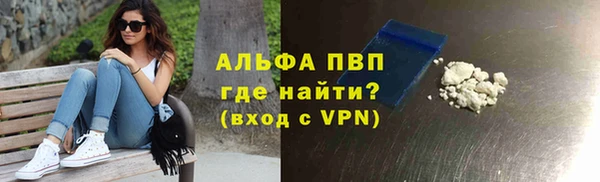 эйфоретик Покачи