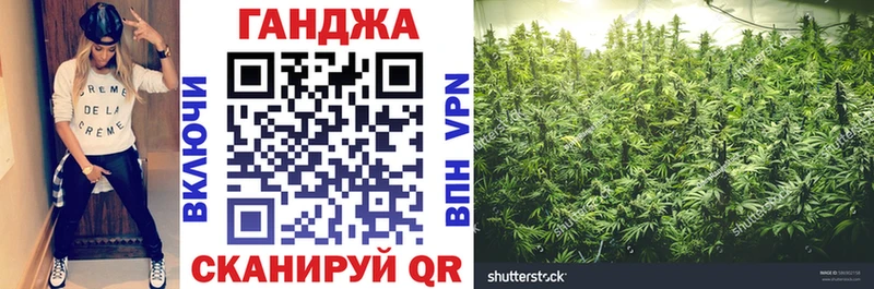 даркнет сайт  Ефремов  OMG tor  Бошки марихуана конопля 